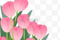 郁金香漫画,一场穿越时空的奇幻之旅